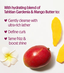 Curl Definition Shampoo